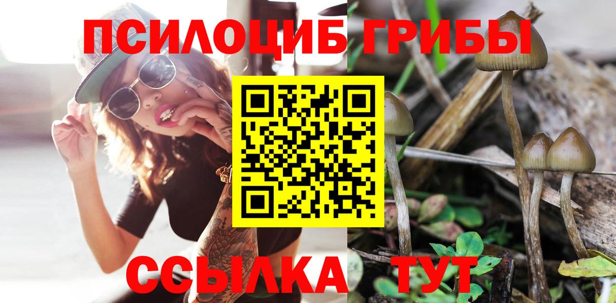 Псилоцибиновые грибы мицелий Кондопога