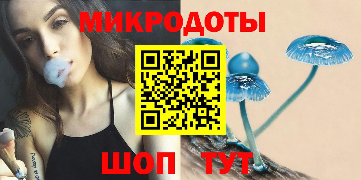 Галлюциногенные грибы мицелий  Вход с VPN  Галлюциногенные грибы Cubensis  Кондопога 